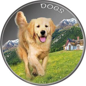 Sero Guld Fiji Dogs 1oz sølvmønt (2022)