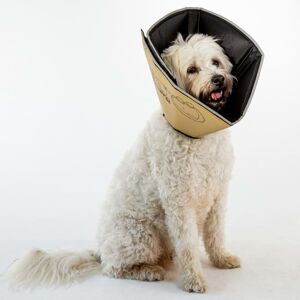 All Four Paws e-halskrave Comfy Cone M 20 cm lysebrun