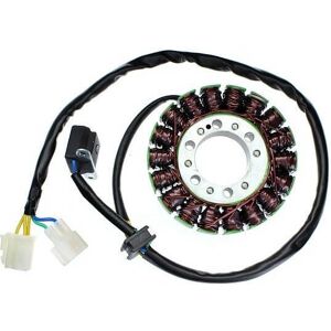 ElectroSport Elektrosport stator ESG112 til generator