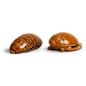 Byon Salt And Pepper Set Bug Brown One Size