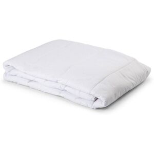 Queen Anne 420447 Synthetic Duvet Cool White One Size