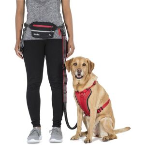 Trespass Chester - Dog Running Belt And Leash  Carbon One Size