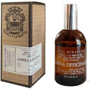 Abbate Y La Mantia Aqua Mirabilis, Ambra Officinale, 100 ml.