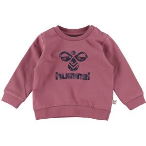 Hummel Sweatshirt - Hmlcitrus - Deco Rose - Hummel - 68 - Sweatshirt