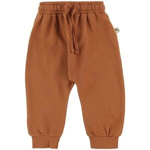 Soft Gallery Sweatpants - Meo - Pumpkin Spice - Soft Gallery - 68 - Sweatpants