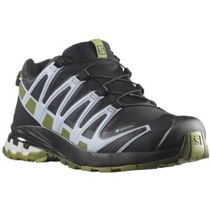 Salomon XA Pro 3D v8 GTX Womens, Black / Zen 37