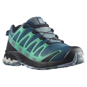 Salomon XA Pro 3D v8 GTX Womens, Legion / Trooper 41