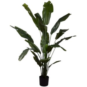 Silk-ka Strelitzia - 180 cm