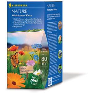 Kiepenkerl Meadow Nature Fleurs sauvages - 500g PL - 664302