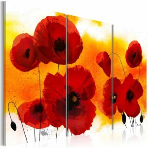 ARTGEIST Tableau après-midi ensoleillé et coquelicots - 120 x 80 cm - Rouge et Blanc - Publicité