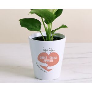 Cadeaux.com Pot de fleurs personnalisable - C'est pour ca qu'on t'aime