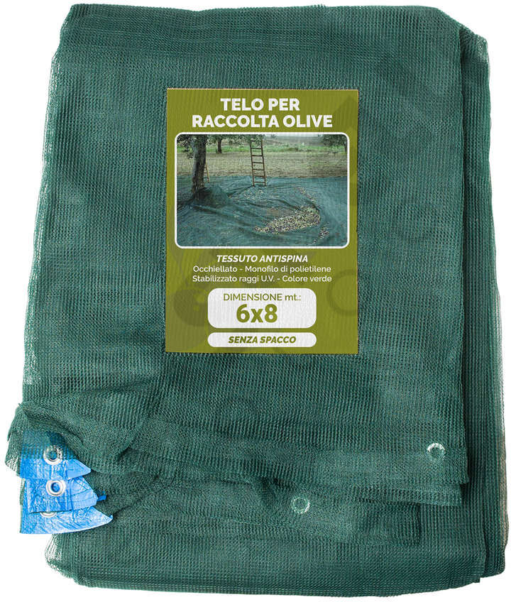 Polsinelli Rete olive 6x8