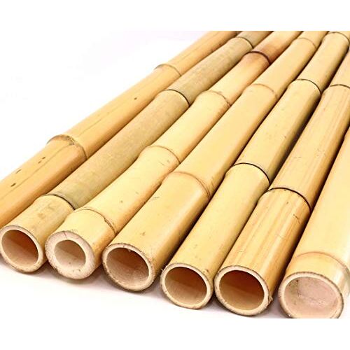 bambus-discount.com 1 x bamboebuis, 200 cm, gelig gebleekt met een diameter van 3,5-5 cm, 2 m lange bamboestok voor het bouwen van meubels