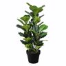 Buitengewoon de Boet - Ficus lyrata 90 cm