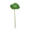 EUROCINSA Ref.40037C54 lotusblad, groen, doos met 6 stuks, 76 cm