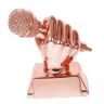 Parliky Gemeenschap Zangwedstrijd Souvenirs Radio Trofee Microfoon Muziek Trofeeën Trofee Feesten Trofeeën Kinderen Zangtrofee School Gemeenschap Trofee Wedstrijd Award