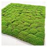 Aoisavch Kunstmatige Moss Mos Tapijt, DIY Nep Groene Planten Faux Mos for Gras Tuin Muur Woonkamer Decor Benodigdheden, 8 Stijlen  (Color : B, Size : 3.28'x3.28'/1x1m)