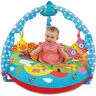 Galt Toys, Playnest and Gym Farm, Sit Me Up Baby Seat, Ages 0 Months Plus