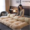 LINCYS Japanse futonmatras, Japanse vloermatras, dikke vloermatras, antislip en ademend, voor slaapzaal,C,200 * 220cm