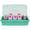 Hatchimals S12 Family Adventures Egg Carton-Llama