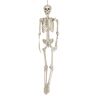 Guirca Esqueleto decorativo 160cm Halloween