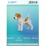 Jekca - Dogs (Jack Russell Terrier 01s-M01) 840x