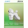 Jekca - Dogs (Standard Poodle 01s-S01) 1170x