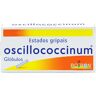 Globulos Oscillococcinum Estados Gripais 6un