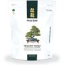 Irun Bonsai Hiryo Gold Flor Y Fruto 350G