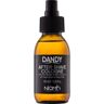 DANDY After Shave after shave 100 ml male