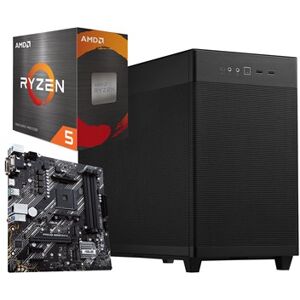 AMD Ryzen 5 5600X 3.7 GHz + ASUS PRIME B550M-K + ASUS Prime AP201 MicroATX