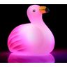 Badanka - Badlampa Flamingo - Lampa för Badet Rosa