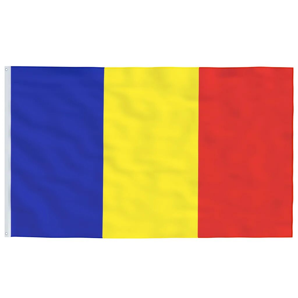vidaXL Drapeau Roumanie 90x150 cm