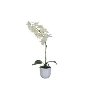 Mica Decorations Mica Kunstpflanze Phalaenopsis im Topf weiß, 60 x 16 cm