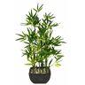 Kunstpflanze I.GE.A. "Bambus" Kunstpflanzen Gr. B/H: 19 cm x 75 cm, 1 St., grün Künstliche Zimmerpflanzen