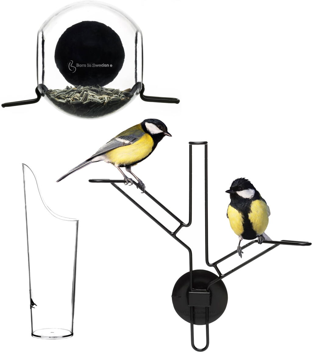 Born in Sweden - Bird Feeder Kit