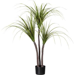 kaiserkraft Dracaena, altura 1200 mm, maceta de plástico de 150 x 120 mm