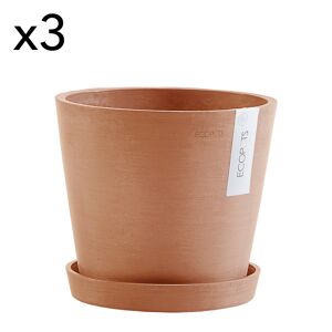 Ecopots Macetas con platillo terracota D20 - juego de 3 