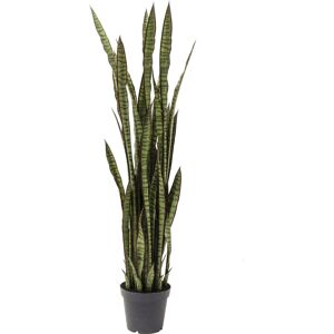 Kare Design Planta artificial de Sansevieria en polietileno y hormigón H155