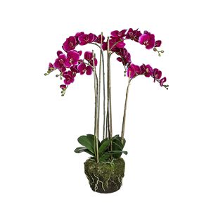 Sia Deco Orquídea en tierra artificial morada h100