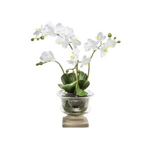 Sia Deco Orquídea en copa artificial blanca h106