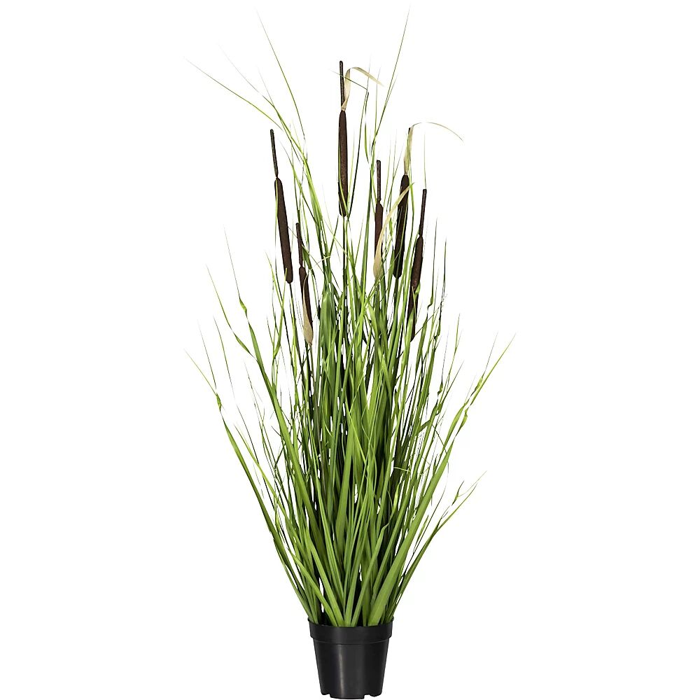 kaiserkraft Manojo de hierba con espigas de junco, altura 1200 mm, número de flores 6, maceta de 130 x 150 mm