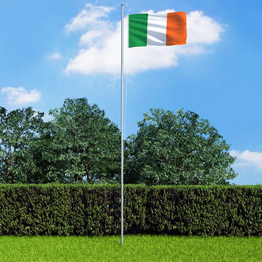 vidaXL Bandera de Irlanda 90x150 cm