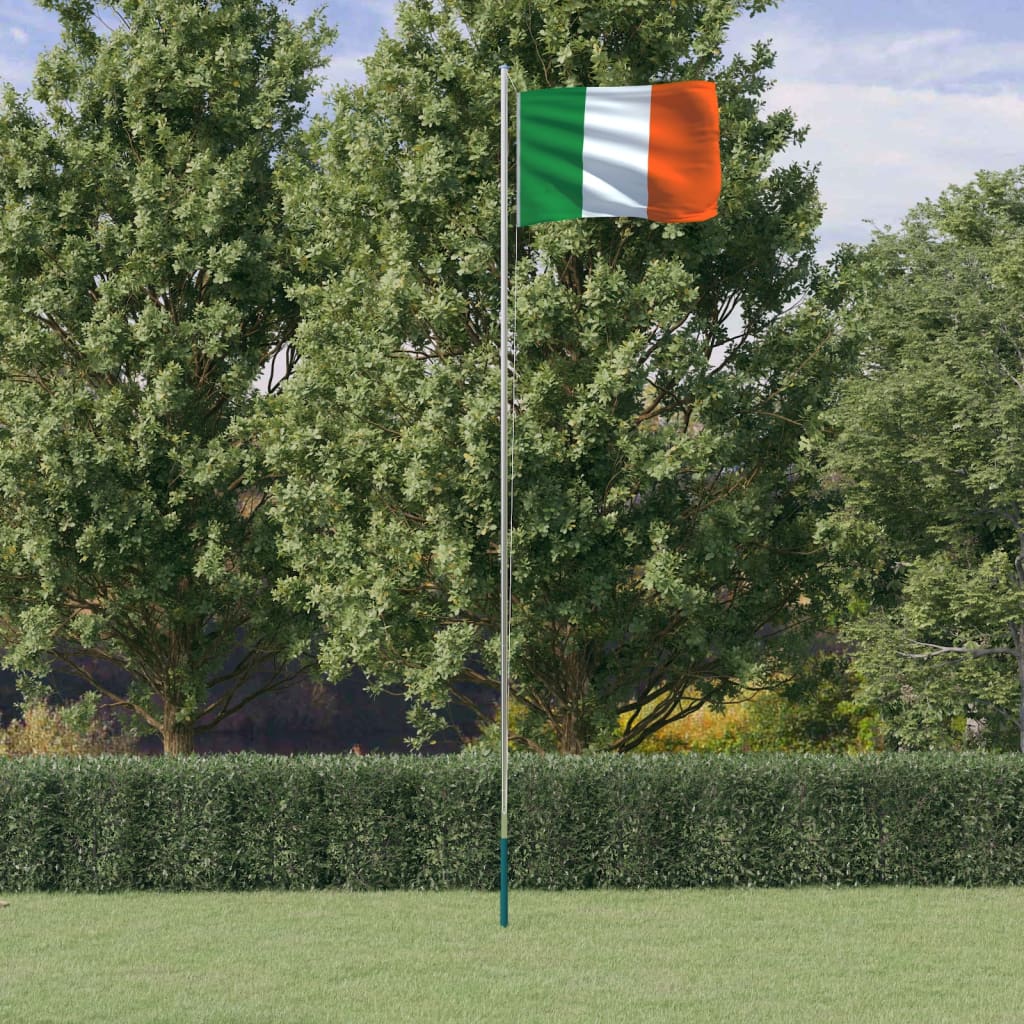 vidaXL Mástil y bandera de Irlanda aluminio 6,23 m