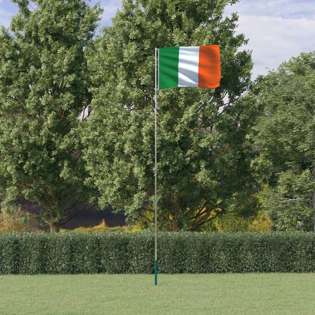 vidaXL Mástil y bandera de Irlanda aluminio 5,55 m