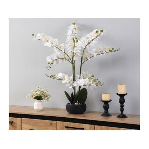 Vente-unique.com Plante artificielle orchidee avec pot en ciment - H.65 x L.54 cm- Blanc -TARA