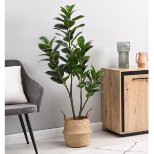 OZAIA Arbre artificiel Calathea avec pot- H.150 - LUSAKE