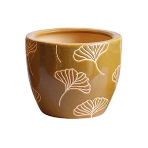 Deco Lines DECOLINES Cache pot Jaune Ginkgo en Terre Cuite 18 cm - Publicité