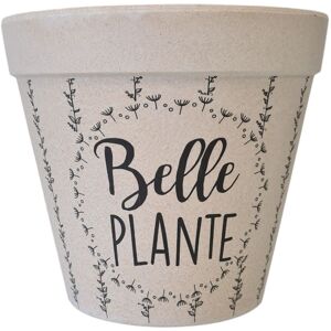 Cache Pot Bambou Belle Plante 17 Cm - Publicité