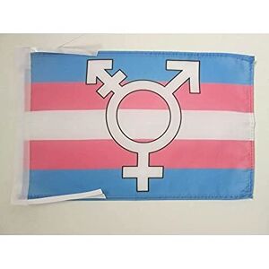 AZ FLAG Drapeau Transgenre avec Symbole 45x30cm PAVILLON trangender Arc-en-Ciel 30 x 45 cm Haute qualité - Publicité